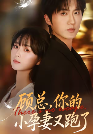 顾总，你的小孕妻又跑了（47集）免费观看精彩短剧