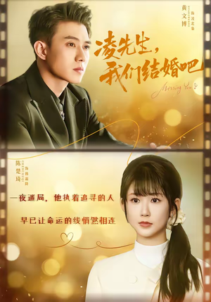 凌先生,我们结婚吧(68集) 凌先生,我们结婚吧(68集)短剧抢先看全集