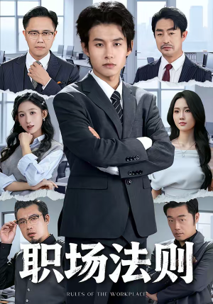 职场法则（79集）热门短剧又来了