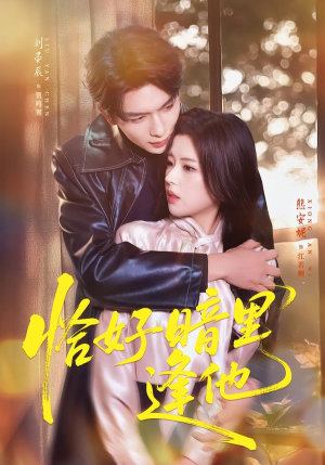 恰好暗里逢他（66集）每天分享不一样剧情短剧