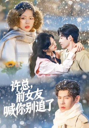许总，前女友喊你别追了（80集）短剧上头又好看