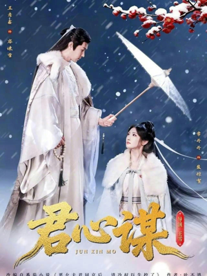 君心谋（80集）好看短剧抢先看