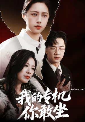 我的专机你敢坐（62集）百看不厌的精彩短剧分享