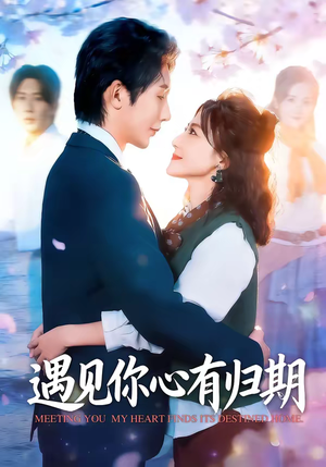 遇见你心有归期（81集）在线免费看全集短剧