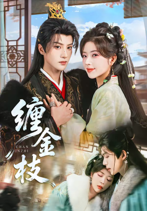 缠金枝（69集）我的短剧太好看了吧