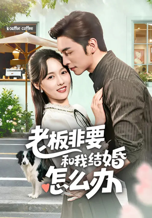 老板非要和我结婚怎么办（50集）我全都看完了的经典短剧回顾
