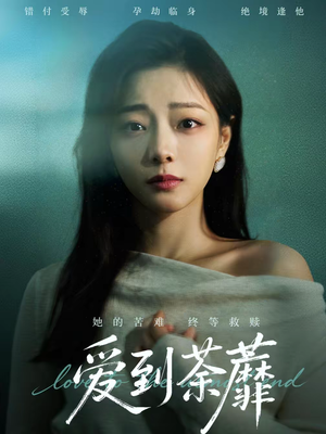 爱到荼蘼（63集）红果免费短剧看全集