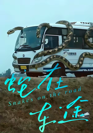 蛇在车途(34集) 蛇在车途(34集)最热短剧抢先看