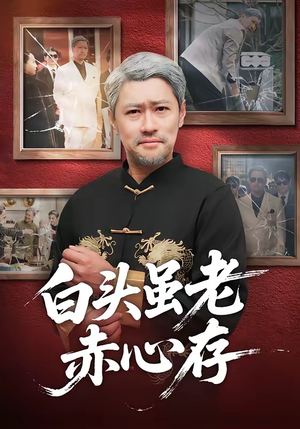 白头虽老赤心存(71集) 白头虽老赤心存(71集)红果短剧app免费看