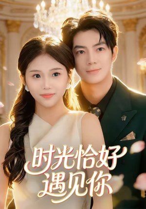 时光恰好遇见你（80集）免费在线尽享全集短剧