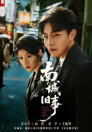 南城旧事（80集）热门短剧持续更新