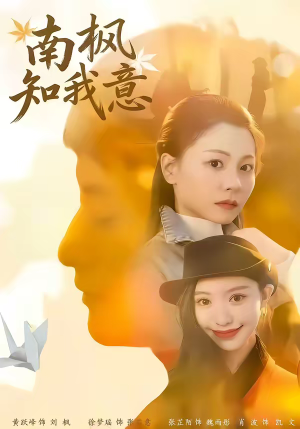 南枫知我意（41集）在哪个平台可以看短剧