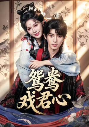 鸳鸯戏君心（60集）不要钱看完整部短剧