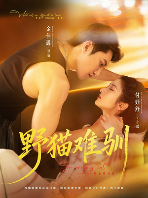 野猫难驯（73集）免费的短剧资源大全