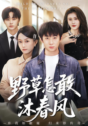 野草怎敢沐春风（61集）超火短剧抢先看全集