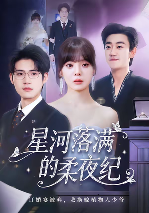 星河落满的柔夜纪（88集）排行榜前十短剧