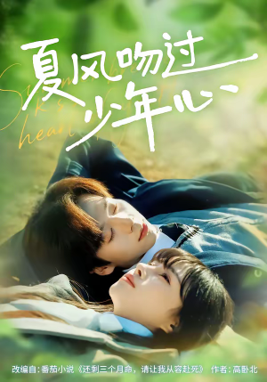 夏风吻过少年心(76集) 夏风吻过少年心(76集)不用花钱看全剧短剧