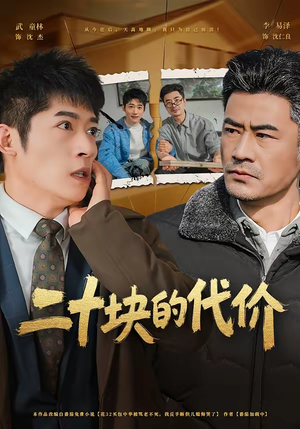 二十块的代价（64集）看一段就想看完的短剧