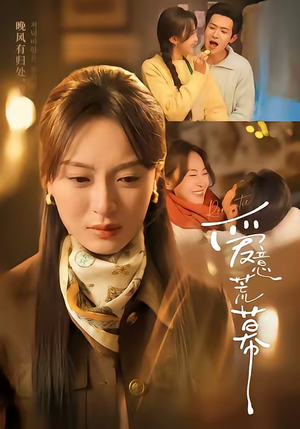 爱意荒幕（70集）在线观看全集免费短剧