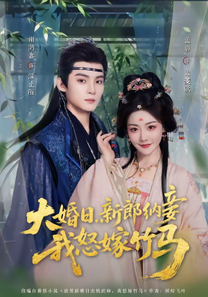 大婚日，新郎纳妾我怒嫁竹马（80集）好看又上头的热播短剧