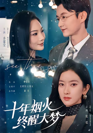 十年烟火，终醒大梦（60集）短剧热播抢先看