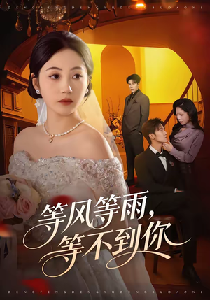 等风等雨，等不到你（65集）短剧分享好剧推荐