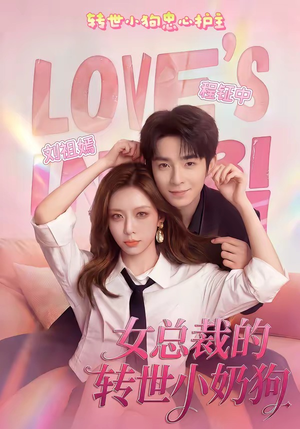 女总裁的转世小奶狗（30集）百万短剧抢先看