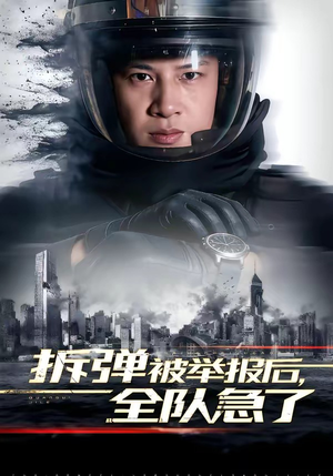 拆弹被举报后,全队急了(50集) 拆弹被举报后,全队急了(50集)海量短剧免费看