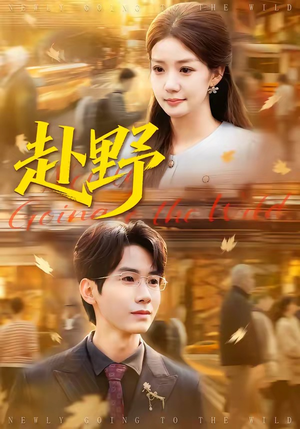 赴野（40集）热门短剧不停更新