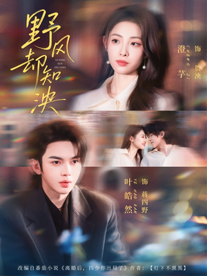 野风却知泱（80集）短剧全集投屏大屏看