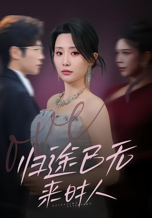 归途已无来时人（70集）短剧全集投屏大屏看