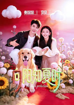 向阳知夏时（80集）热门短剧来袭精彩抢先看