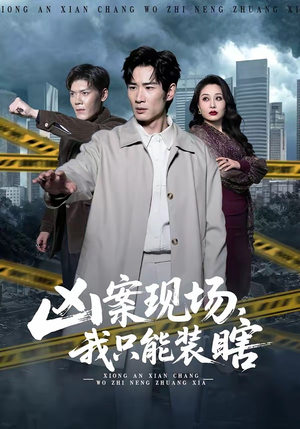 凶案现场，我只能装瞎（72集）热门短剧在线观看