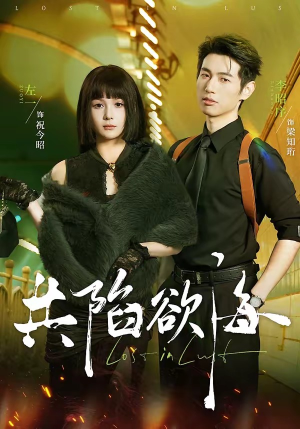 共陷欲海（66集）高质量短剧推荐