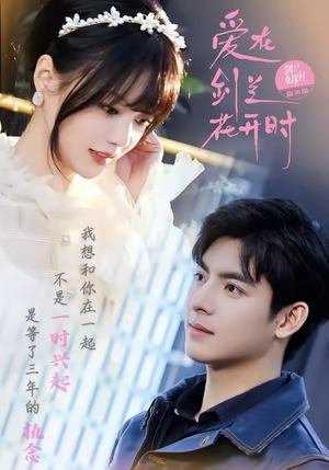 爱在剑兰花开时（56集）省钱短剧免费看个够