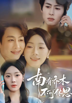 南有乔木，不可休思（68集）短剧全集无删完整版