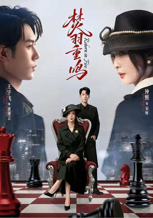 焚羽重鸣（60集）挑战分享部精彩短剧