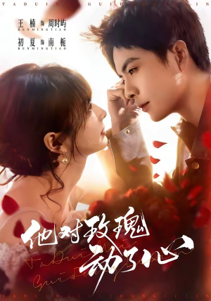 他对玫瑰动了心（68集）精彩短剧又来了