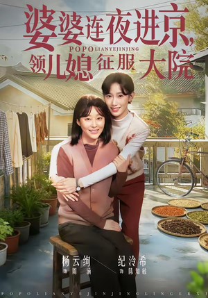 婆婆连夜进京，领儿媳征服大院（78集）穿越短剧免费看全集