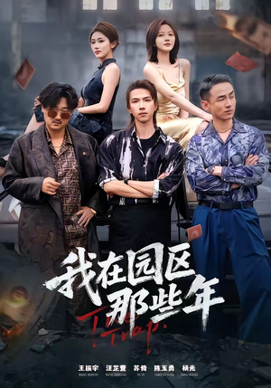 我在园区那些年（61集）短剧越看越想看系列