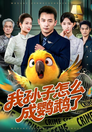 我孙子怎么成鹦鹉了（71集）免费的短剧资源大全推荐