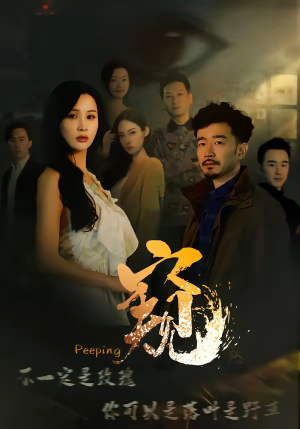 窥＆窥伺（37集）短剧经典全集任你选