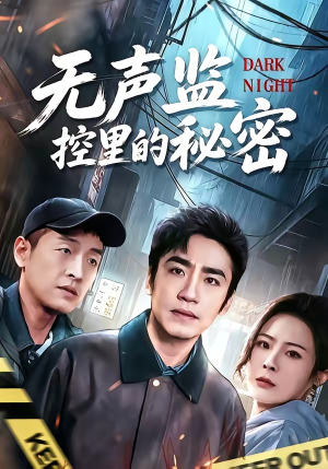 无声监控里的秘密（84集）全集短剧我都看完了