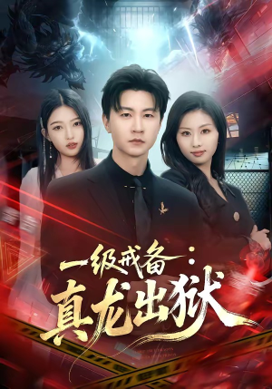 一级戒备：真龙出狱（73集）红果短剧免费全集看