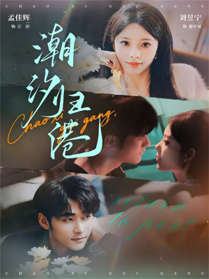 潮汐归港（66集）精彩短剧等你来看