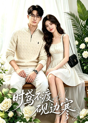 时鸢不渡砚边寒（41集）经典回顾短剧免费看