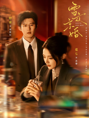 雪夜京婚（84集）热播短剧抢先看后续