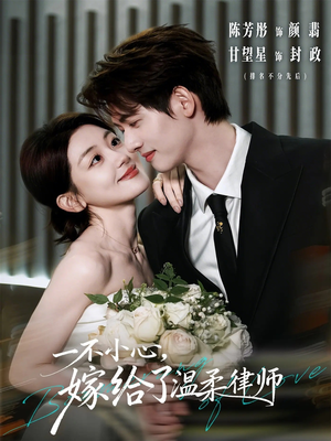 一不小心，嫁给了温柔律师（65集）精彩免费短剧观看全集