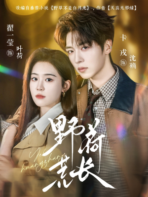 野荷荒长（86集）深深爱上这部短剧