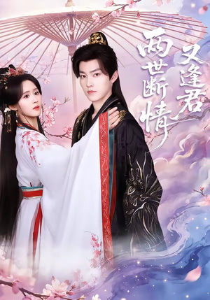 两世断情又逢君（71集）热播短剧追不停